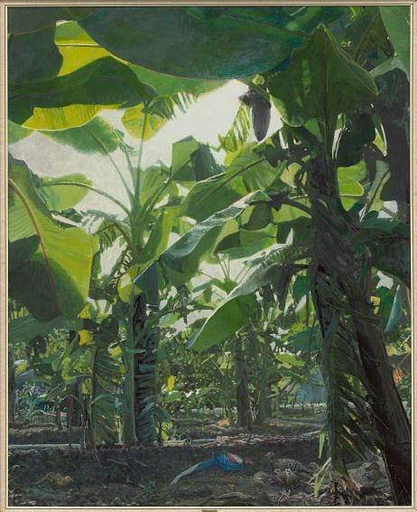 金蕉藍鵲 舐犢情深