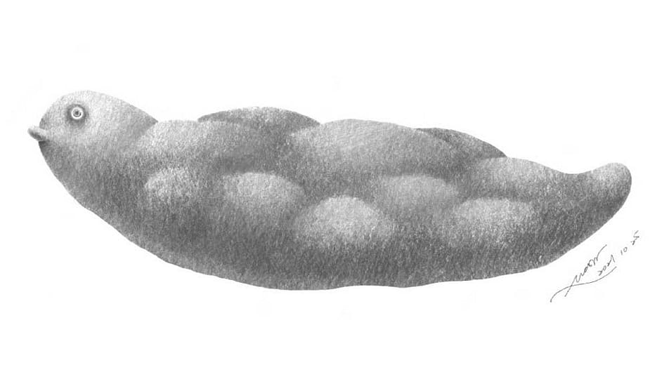 tumor bird | 蔓蔓 I | 蔓蔓 II | 蔓蔓 III | 蔓蔓 IV | 蔓蔓 V | 蔓蔓 VI | 蔓蔓 VII | 蔓 蔓X