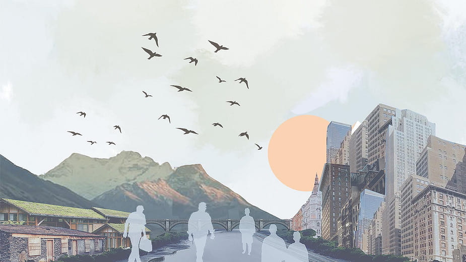 遷流徙域 Domain Migration