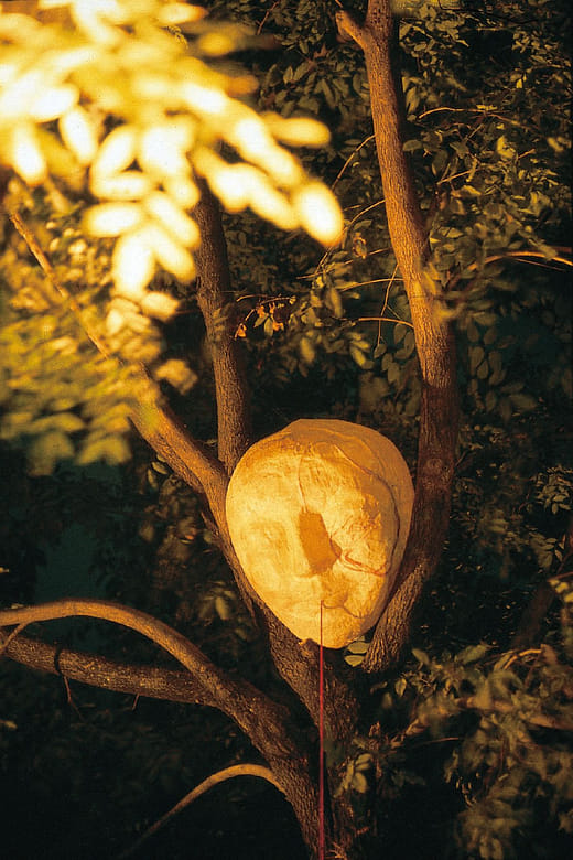 中年蛻化