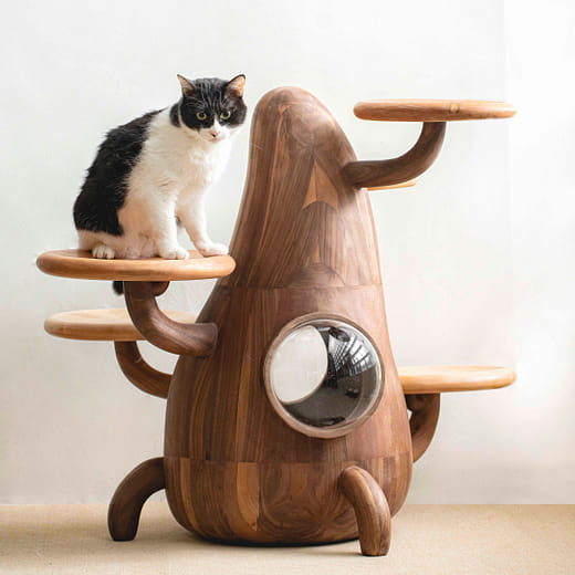 好伴一生 Companion for Our Lives