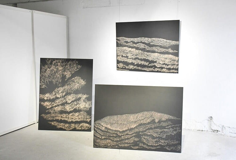 貓與海-Cat and sea