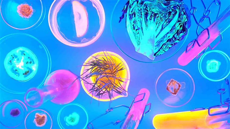 GFP自耕農實驗室 GFP Lab