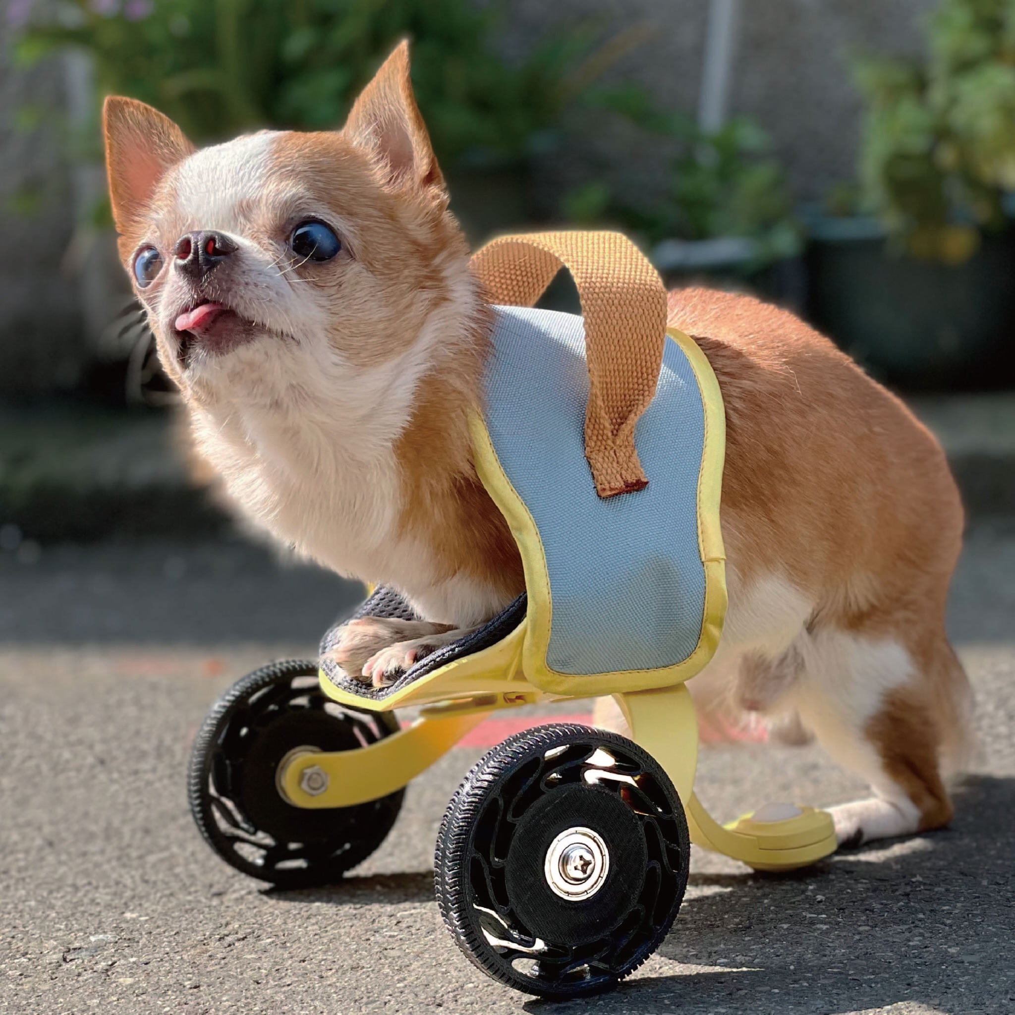 RUNRUN!