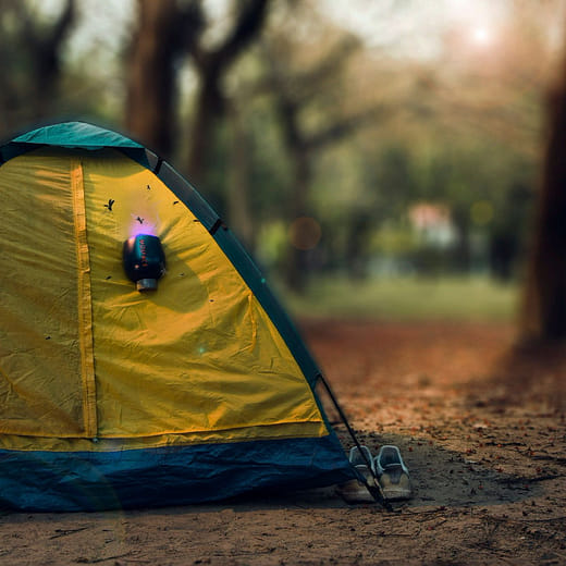 夏日大作戰 mospace