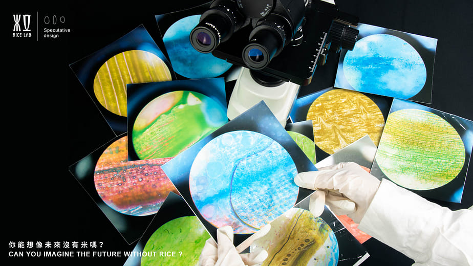 米立 - RICE LAB