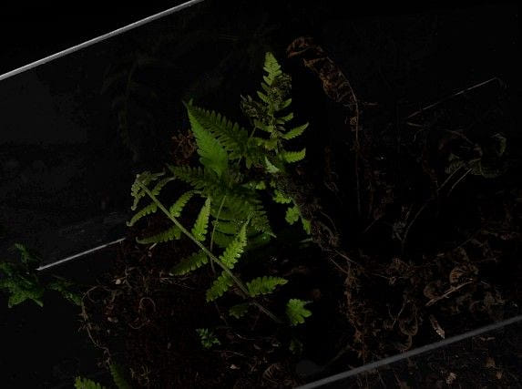 輸出、抽取、重組