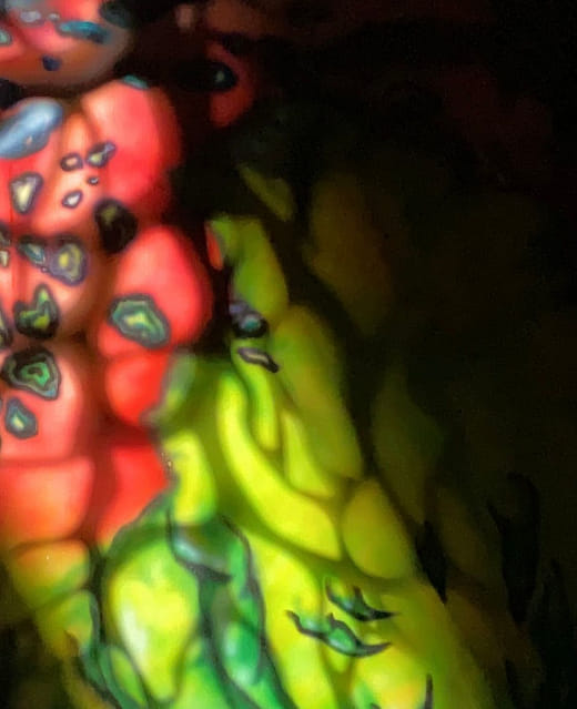 驅蟲與被驅之蟲系列