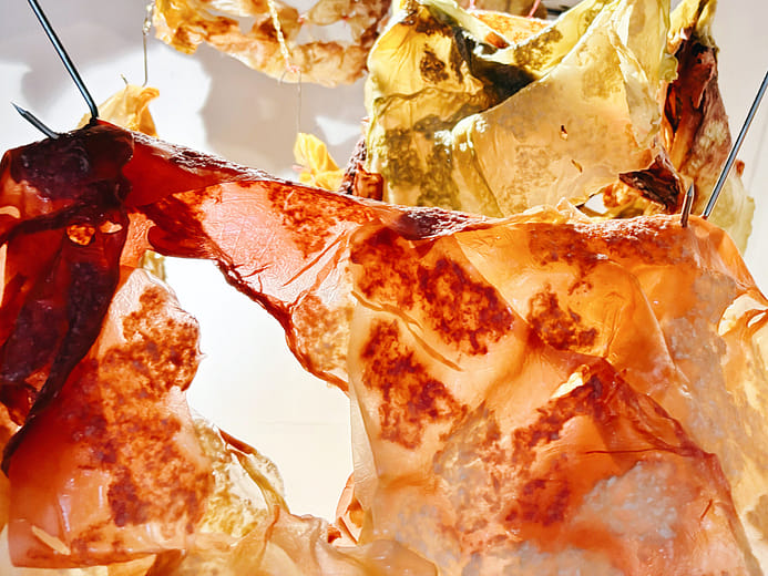 保持新鮮  Keep fresh