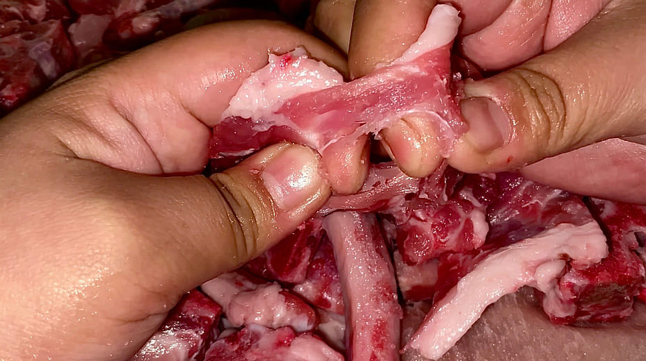 肉肉相覷  Meat meet