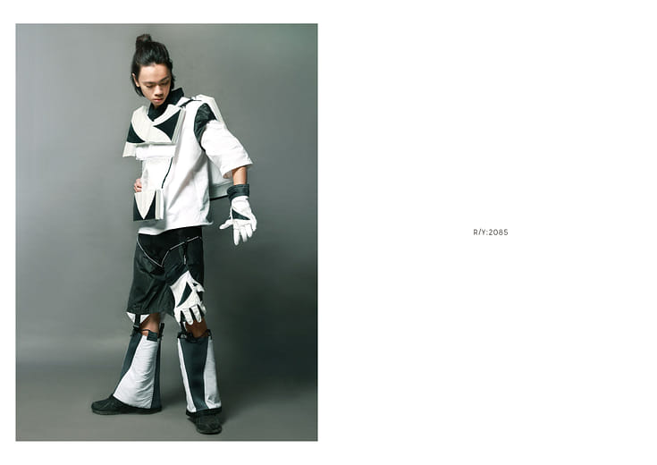 流域叢生2085 - R/Y : 2085