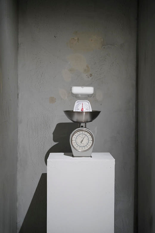 忍住, 2019 Bear-Up, 2019