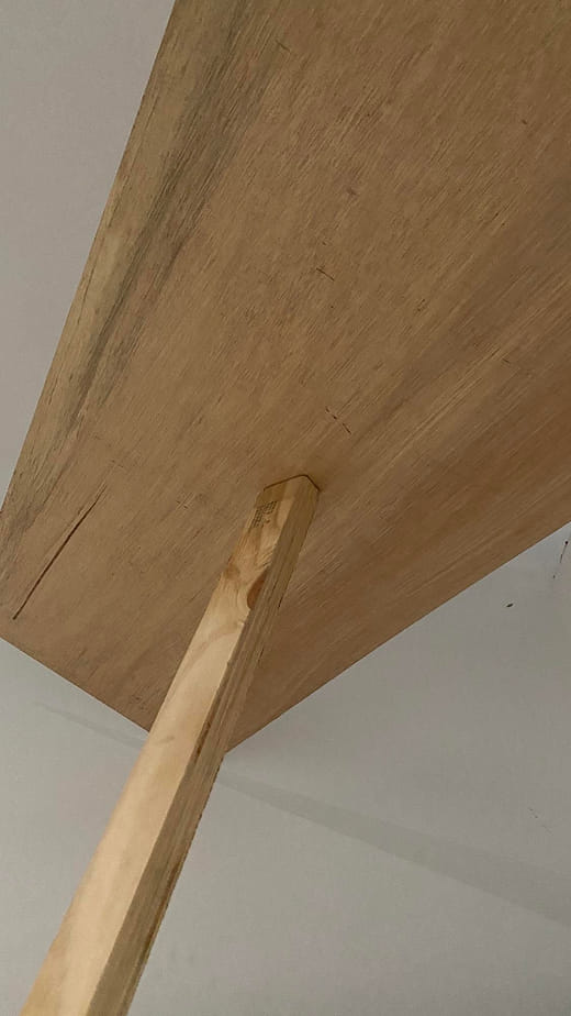 合作式恐慌, 2017  Collective Terrorism, 2017