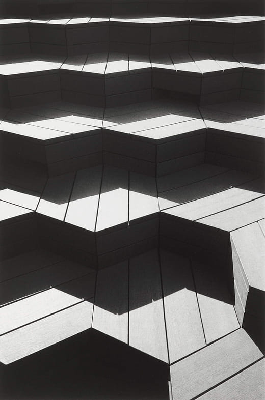 〈共生〉 Symbiosis