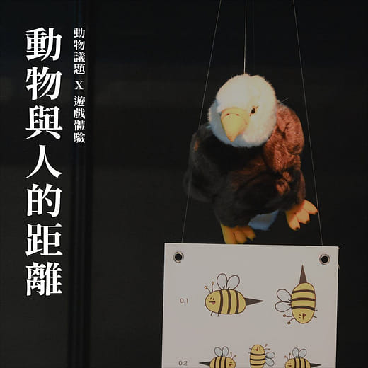 動物與人的距離