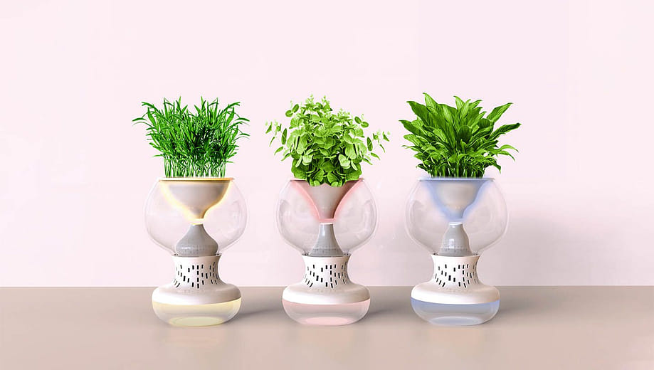 感官療癒系列產品 - LeComfort