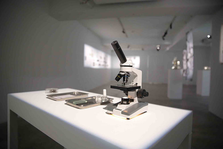 樹懶效應：NO.2，虛構與真實之間的對話 Sloth Effect: NO. 2, The Dialogue between Fiction and Reality