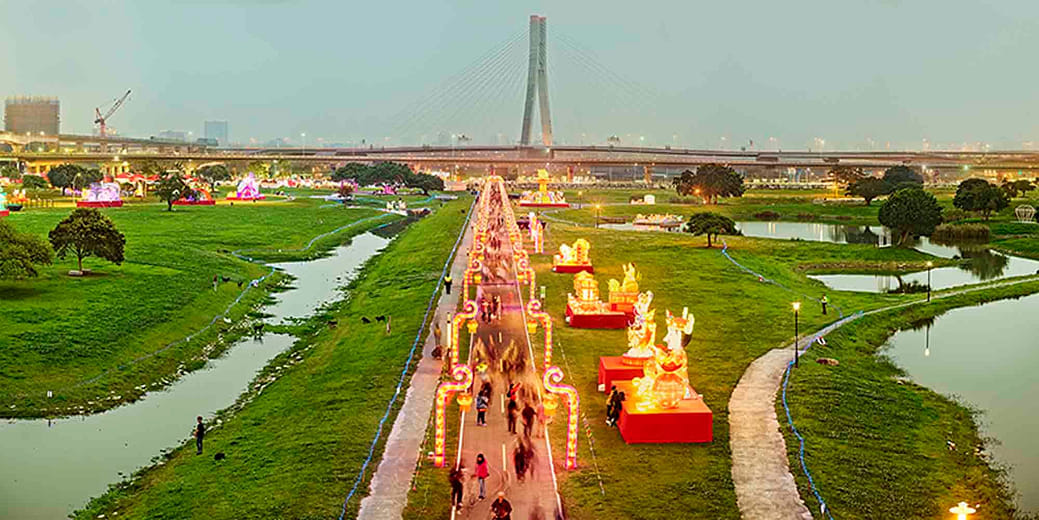 豬年 Year of the Pig