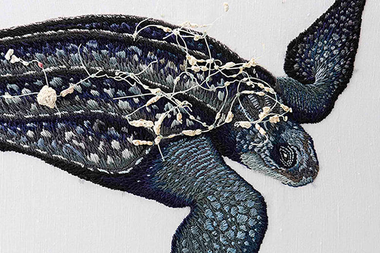 ⾰龜 Dermochelys coriacea