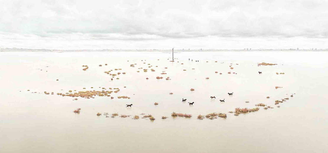 台灣土狗 Taiwan To Go － No 10