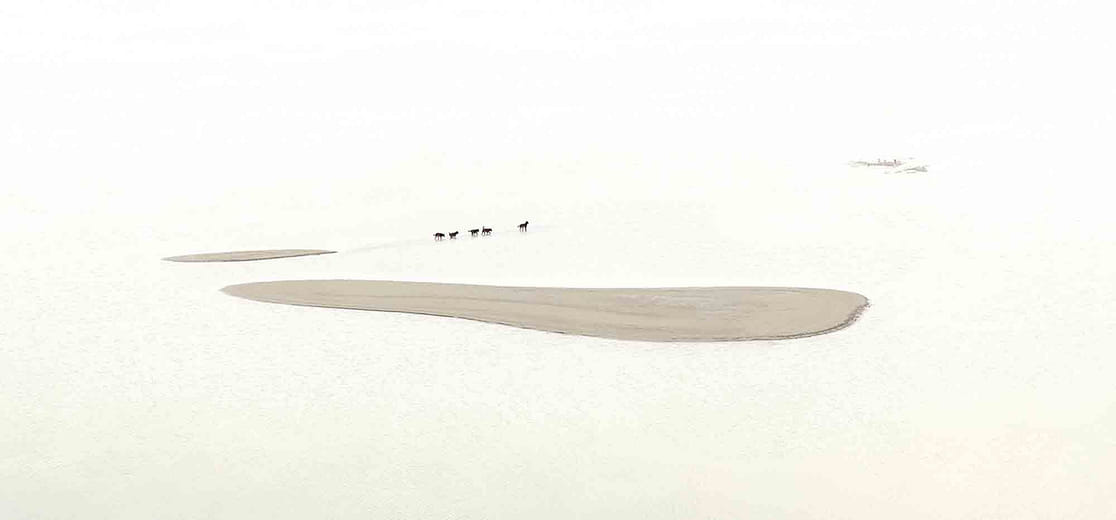 台灣土狗 Taiwan To Go － No 03