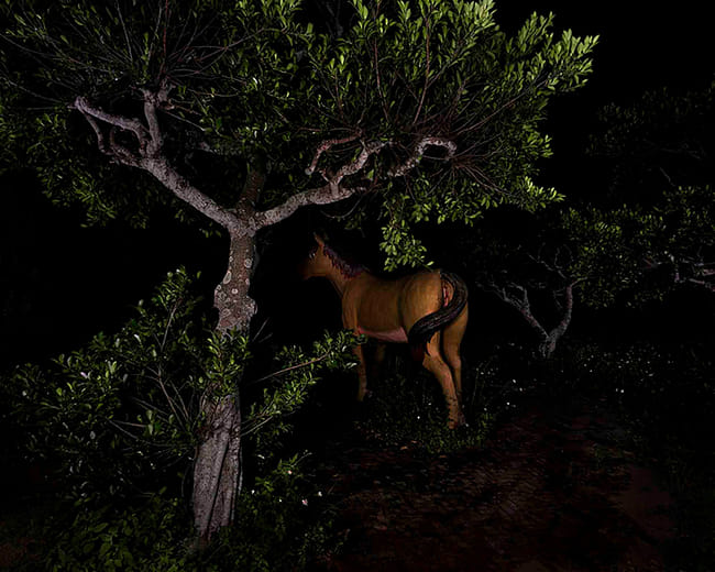 幽靈公園－馬 The Ghost Park–Horse