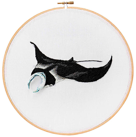 ⿁蝠魟 Manta birostris