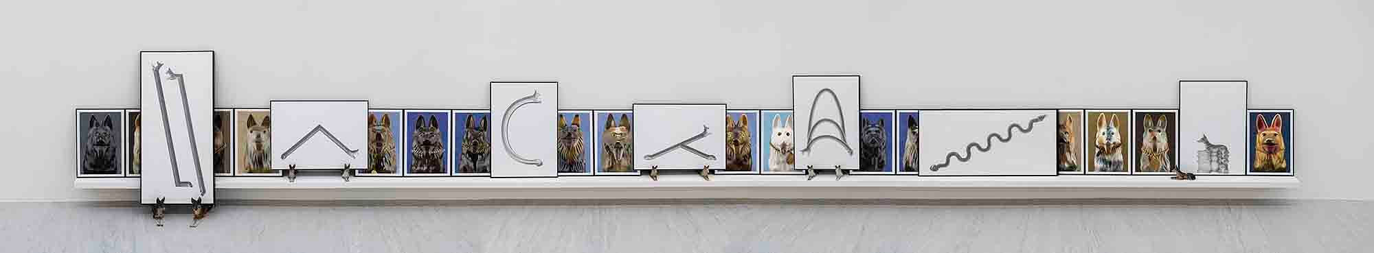 編隊 形變 犬變 Formation Deformation Dogformation