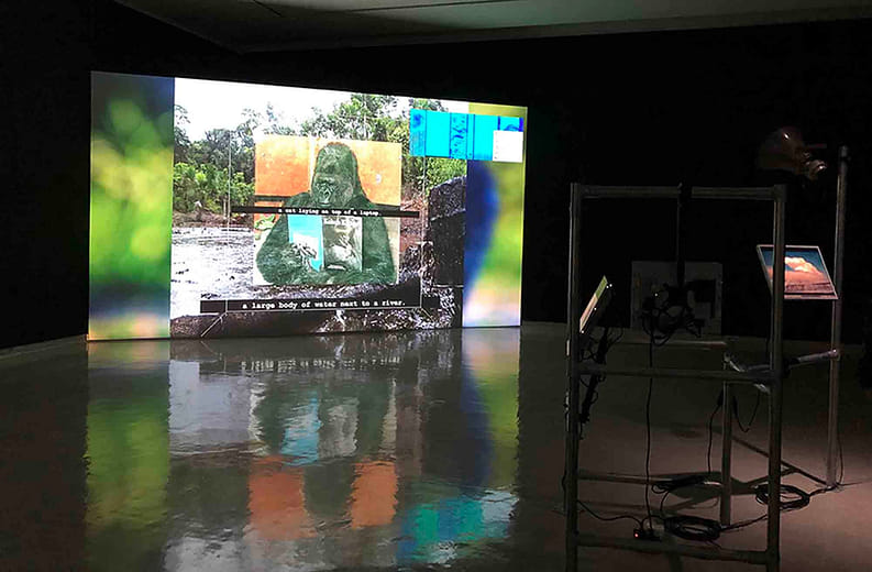 We are just saying how you are ruling