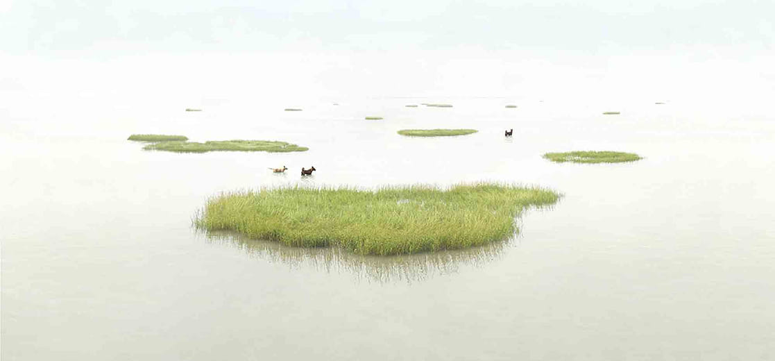 台灣土狗 Taiwan To Go － No 02