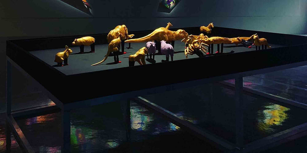 鸚鵡人的動物學 Zoology of Parrot Man