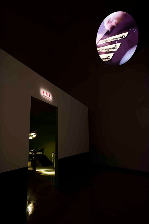 肉身計畫 謬思的外科手術 厚植 Surgery of Muse: Implant