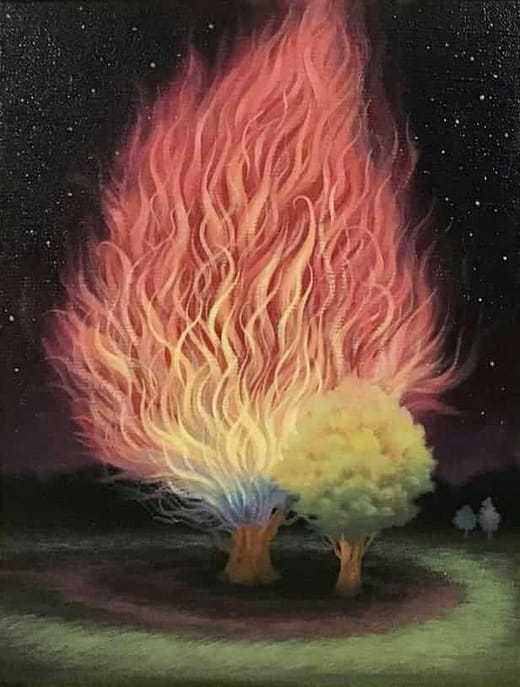 彩虹色的樹（二）