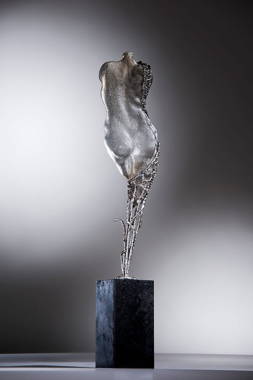 樹齡的化生(一)