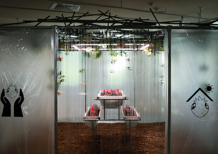 《獵奇溫室＆Zomberry》