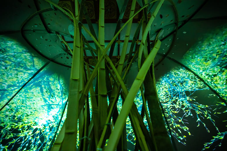 — “Seeking the Olive Tree in the Dream” projection mapping