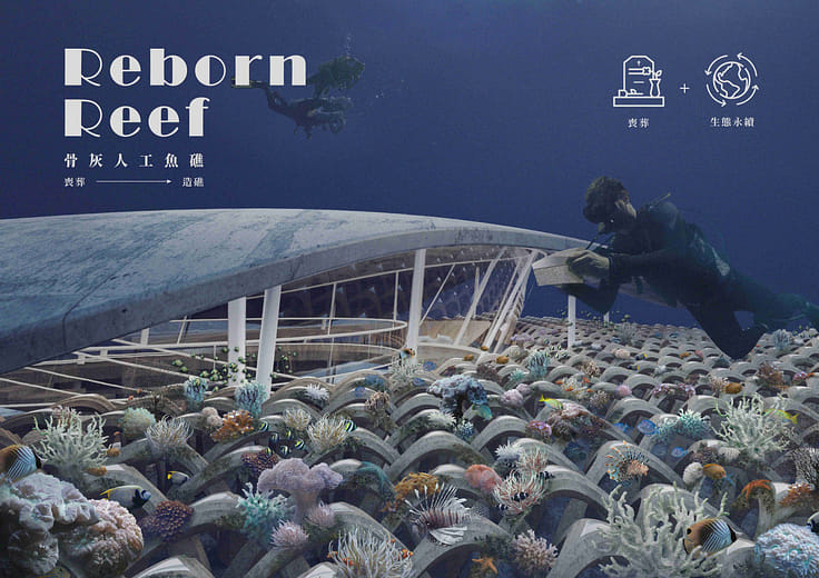 永生礁 - Reborn Reef