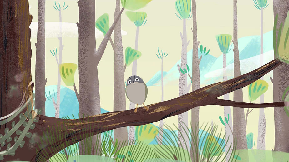 西吉克 巴魯 seejiq paru