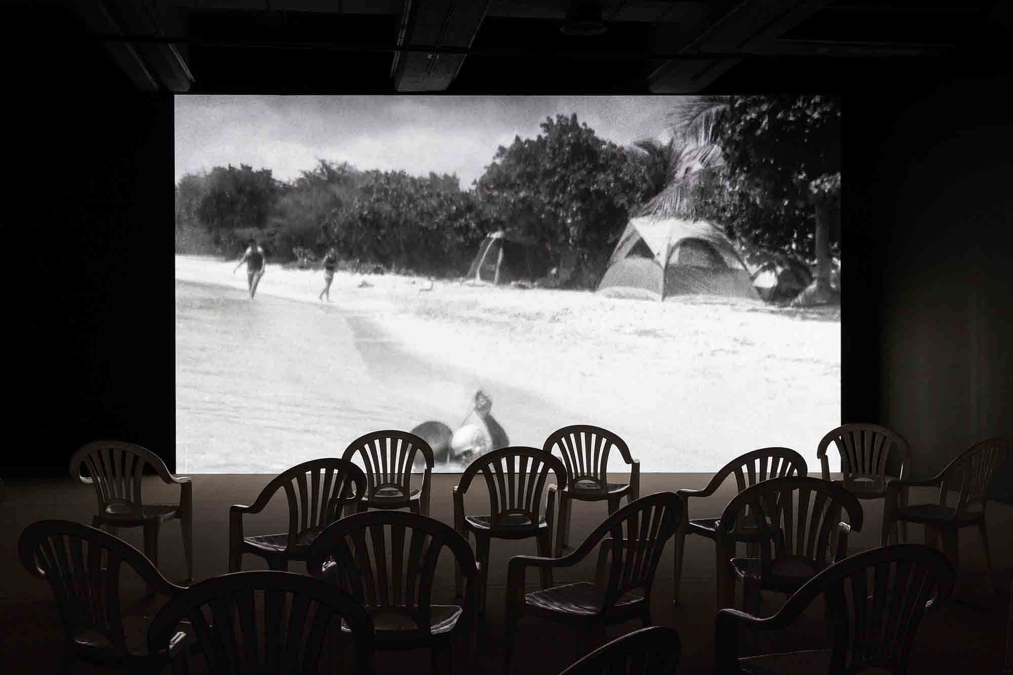 濱線運動放映影片 Selection of Shoreline Movements