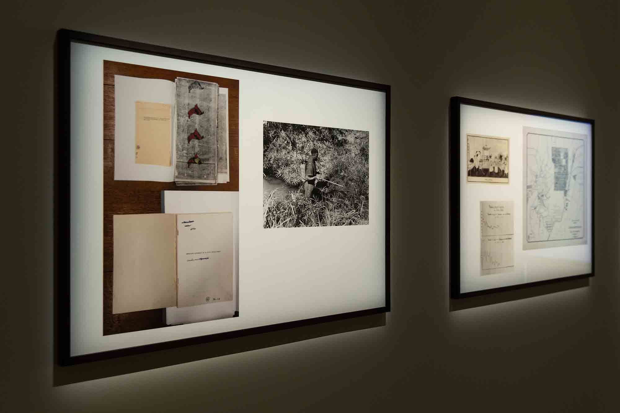 《瘧疾、剛果與比利時人》Malaria, Congo and the Belgians