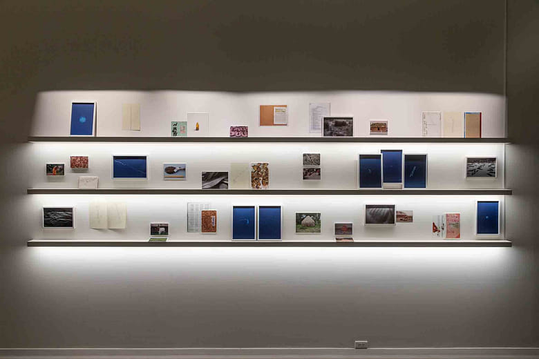 《種子將解放我們 II》Seeds Shall Set Us Free II