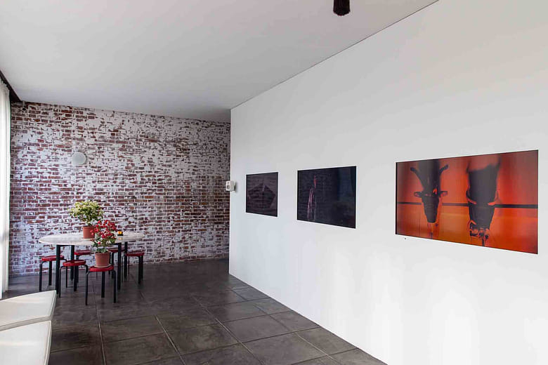 《變異派學校》The School of Mutants