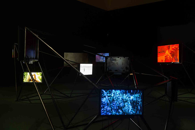 《跨物種影像交會》Interspecies Cinematic Encounters