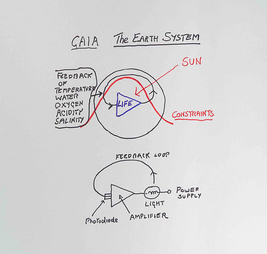 《蓋婭圖表：地球系統與反饋迴路》Diagram of Gaia: The Earth system and feedback loop
