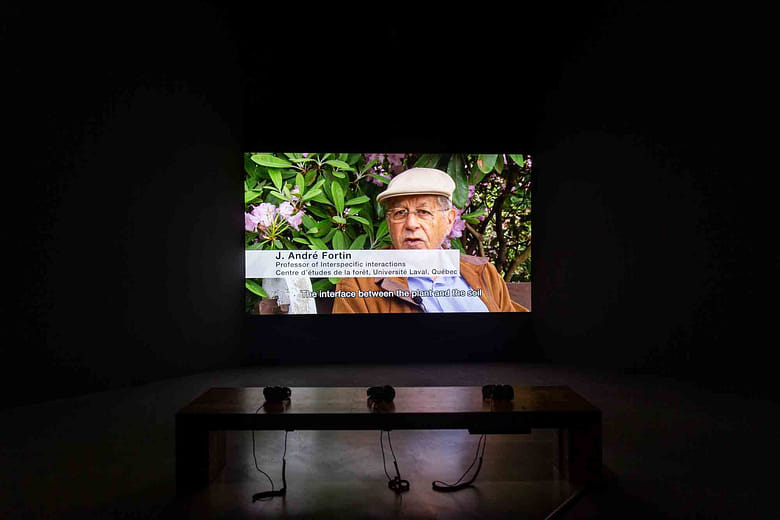 《共生地球：琳恩．馬古利斯如何打破常規及開啟科學革命》Symbiotic Earth: How Lynn Margulis rocked the boat and started a scientific revolution