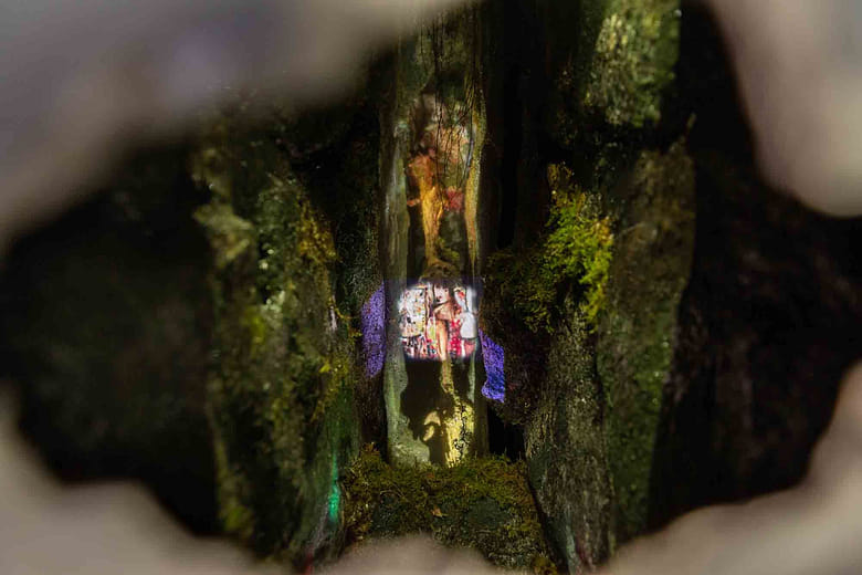 《沼澤智慧》Swamp Intelligence