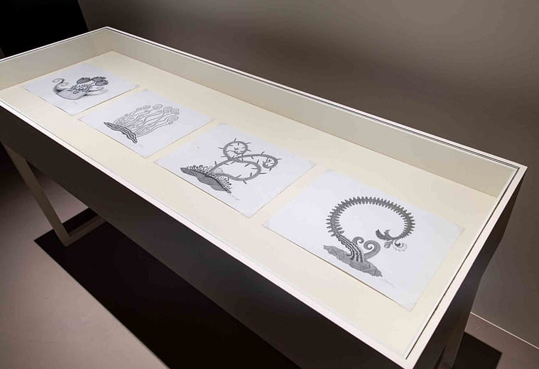 《植物系列》Plant Series