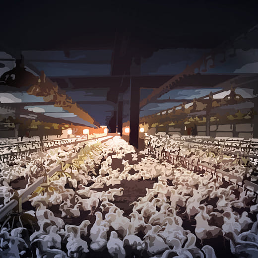 雞苑已久 The Friendly coop - 彰化縣芳苑鄉雞寮友善養殖空間規劃設計