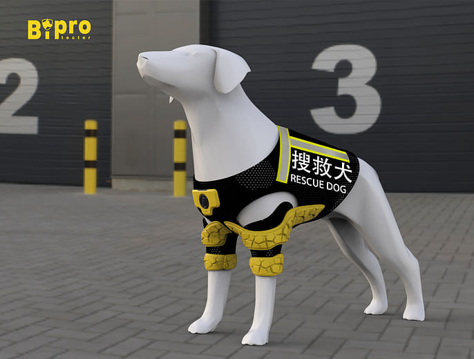 即救 - Biprotector