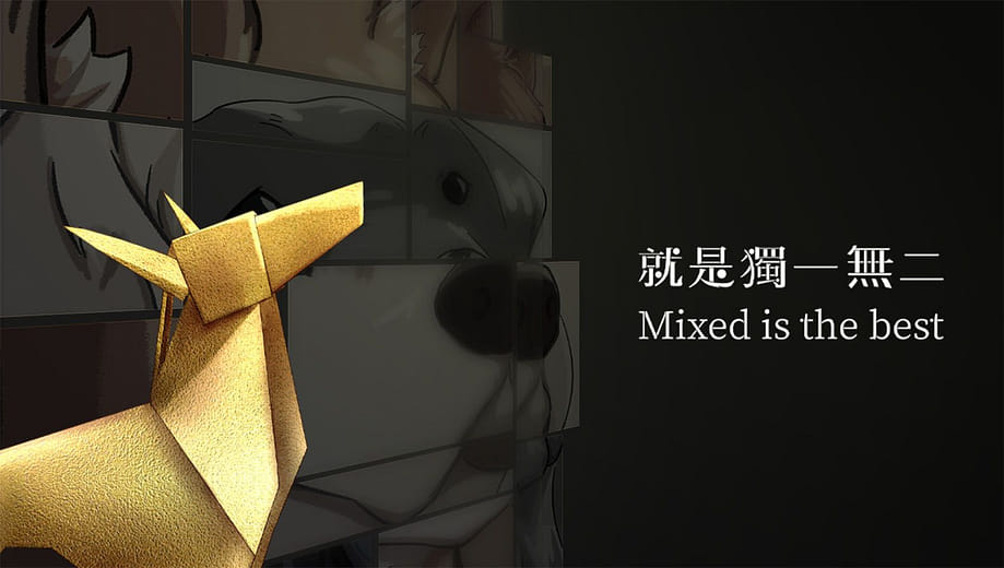 汪獎 - Mixed is the best